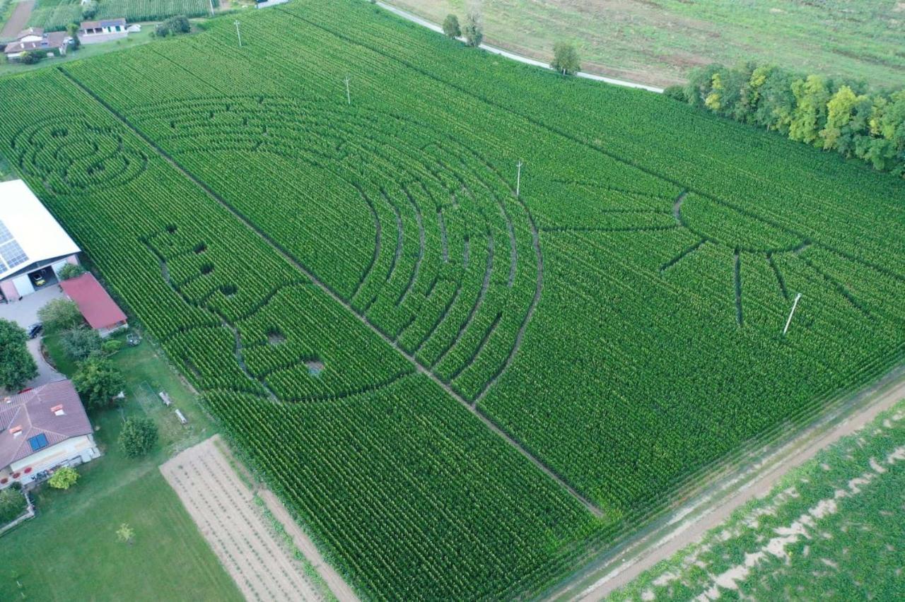 La Selce Farmhouse Bagnario Arsa Dış mekan fotoğraf