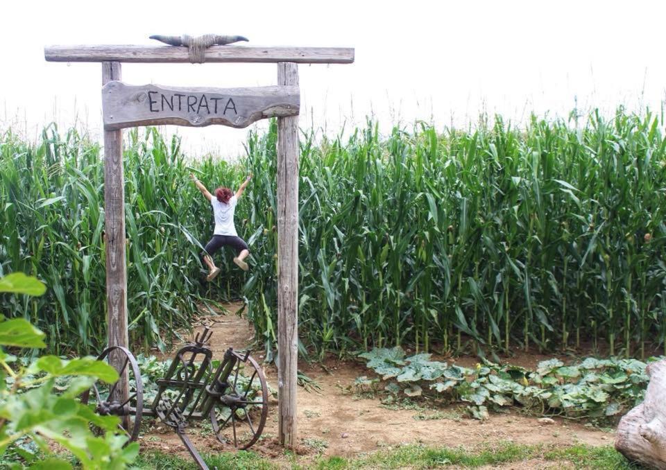 La Selce Farmhouse Bagnario Arsa Dış mekan fotoğraf