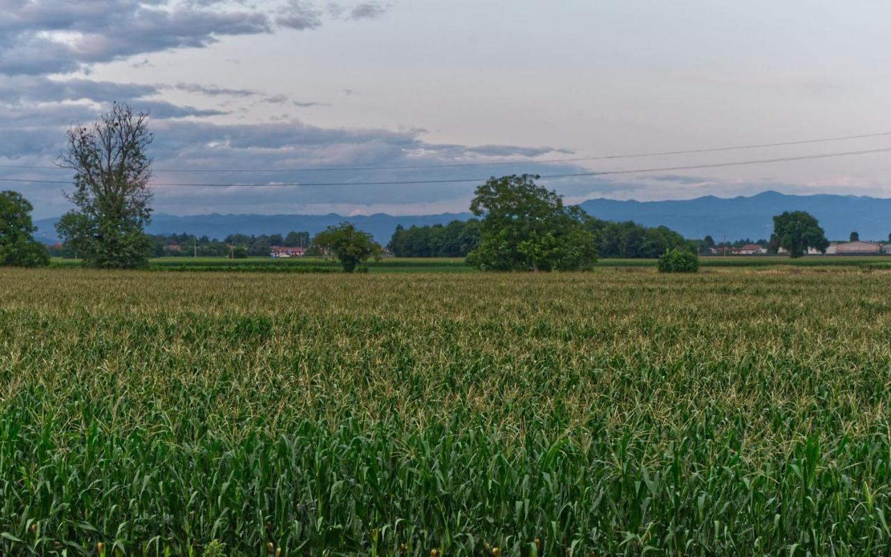 La Selce Farmhouse Bagnario Arsa Dış mekan fotoğraf