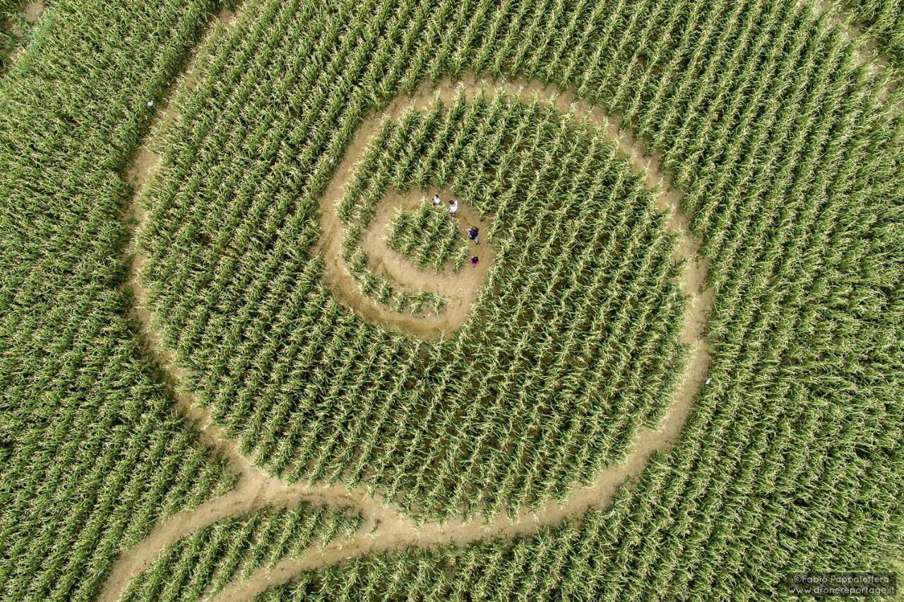 La Selce Farmhouse Bagnario Arsa Dış mekan fotoğraf